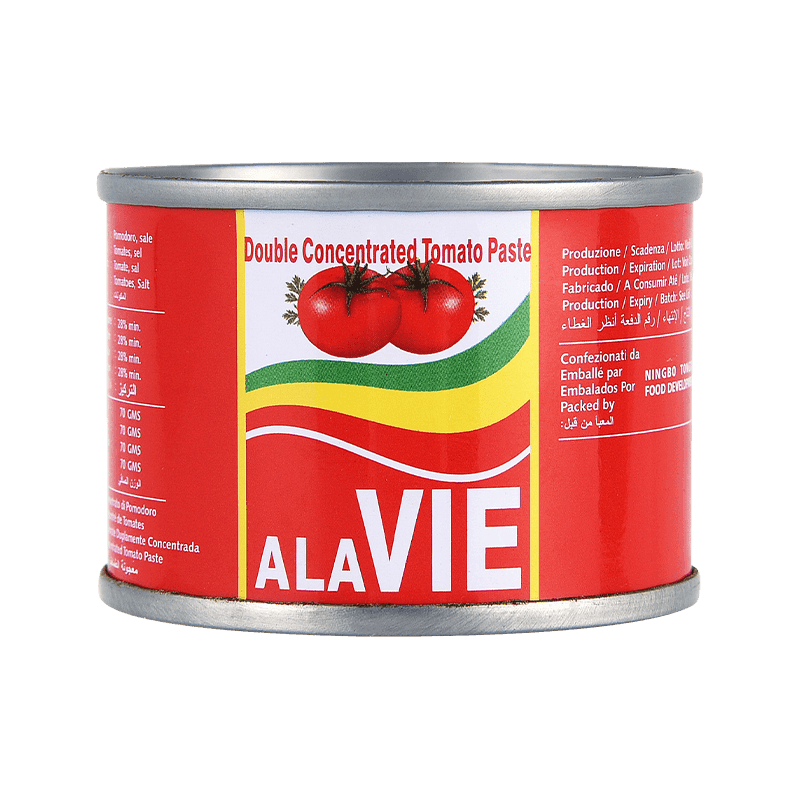 60g Canned (Easy open/ Hard open) Double Concentrated Tomato Paste